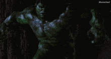 a close up of a green hulk with illusive soul written below him