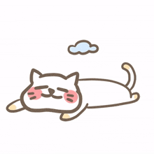 animal kitty cat cute lazy