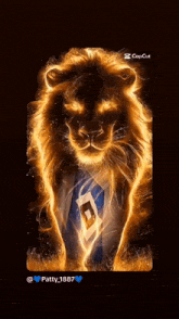 a picture of a lion with the name patty 1887