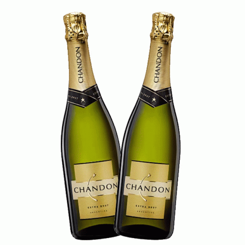 Sparkling champagne sticker sparkling champagne drink gifs