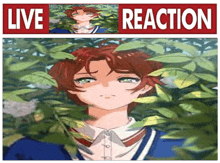 Live Momoe Reaction GIF