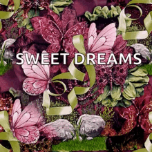 Sweet Dreams Butterflies GIF