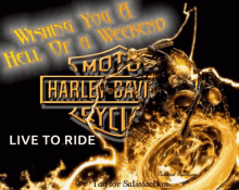 Biker Motorcycle GIF - Biker Motorcycle Harley Davidson GIFs