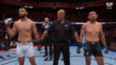 Dustin Jacoby Dominick Reyes GIF - Dustin Jacoby Dominick Reyes Reyes Ufc GIFs