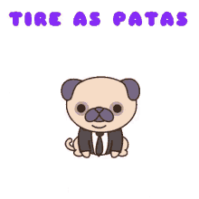 tire as patas paws off angry hands off pug