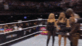 a blurred image of a wrestling ring with the letter w on the wall