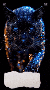 a picture of a panther with blue eyes and the name helin on the bottom