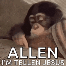 a chimpanzee is laying on a bed with the words allen i 'm telling jesus above it