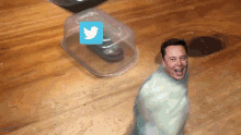 Elon Musk Twitter GIF - Elon Musk Twitter Fail GIFs