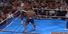 Knockout Mike Tyson GIF - Knockout Mike Tyson Fast GIFs