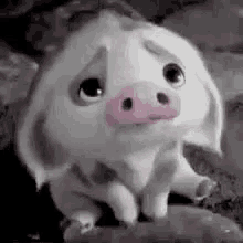 Sad Eyes Pig GIF - Sad Eyes Pig Sad GIFs