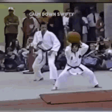 Karate Fail GIF