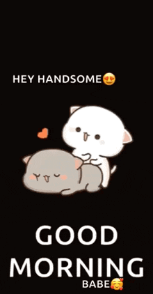 a cartoon of a cat and a dog saying good morning babe