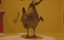 Chicken Dance GIF - Chicken Dance GIFs
