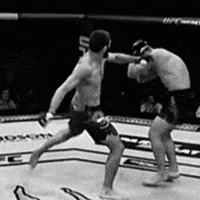 two men are fighting in a boxing ring with the word ufc on the side