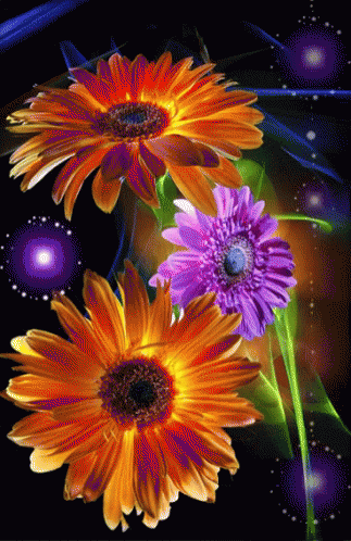 free animated flower desktop wallpaper HD Mobile Desktop Wallpaper