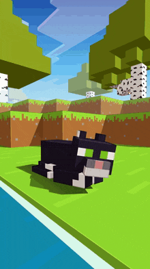 Maxwell Minecraft GIF - Maxwell Minecraft Cat GIFs