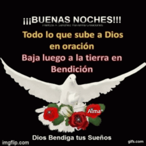 Buenas Noches Oracion GIF - Buenas Noches Oracion Bendicion - Discover & Share GIFs Buenas Noches Oracion GIF - Buenas Noches Oracion Bendicion - Discover & Share GIFs