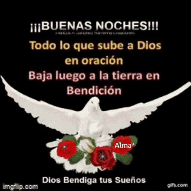 buenas noches dios