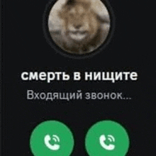 a screenshot of a phone with a picture of a lion in the middle of it .