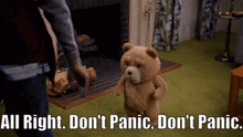 Ted Tv Show Dont Panic GIF - Ted Tv Show Dont Panic All Right Dont Panic GIFs