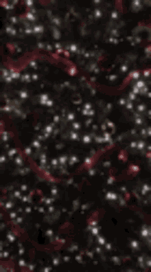 a blurry picture of a christmas tree with red and white decorations .