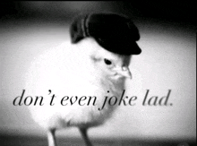a black and white photo of a bird wearing a hat with the words " don 't even joke lad " written below it