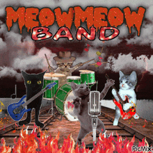 Meow Cat Band GIF - Meow Cat Band Cats GIFs