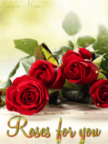 Flores Flower GIF - Flores Flower Roses For You GIFs