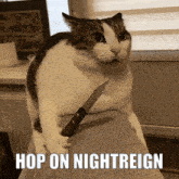 a cat holding a knife with the caption hop on nightreign on the bottom