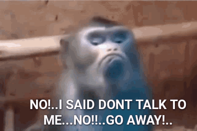 Monkey Funny GIF - Monkey Funny Mad - Discover & Share GIFs Monkey Funny GIF - Monkey Funny Mad - Discover & Share GIFs