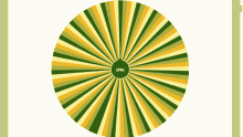 Illusion Circle GIF - Illusion Circle GIFs