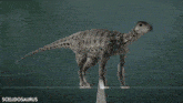 a computer generated image of a sceliosaurus dinosaur