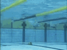 Kosuke Kitajima GIF - Kosuke Kitajima Kitajima Kosuke Swim GIFs
