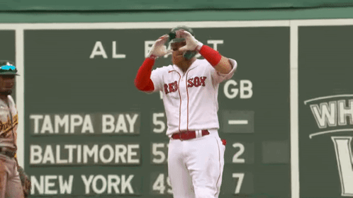 Boston Red Sox Baseball GIF - Boston Red Sox Baseball - Discover & Share  GIFs