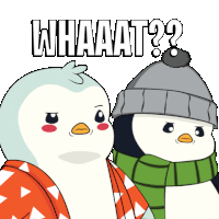 What Huh Sticker - What Huh Penguin Stickers