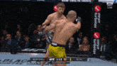 two men are fighting in a boxing ring and one of them is wearing a venum belt
