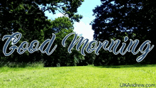 Good Morning Ukandrew GIF - Good Morning Ukandrew Grass GIFs