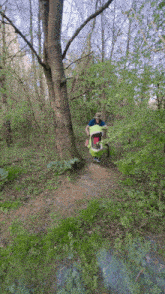 a man pushing a stroller in the woods with a tree in the background