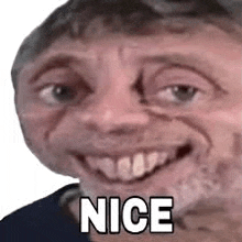 a man with a beard is smiling with the word nice written on his face .