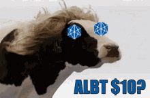 Albt Allianceblock GIF