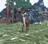 Deer Goat GIF - Deer Goat Walk GIFs
