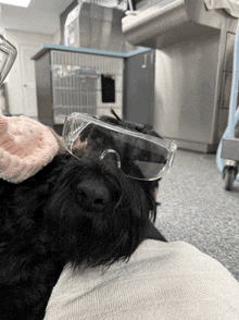a black dog wearing safety goggles is laying on a person 's lap