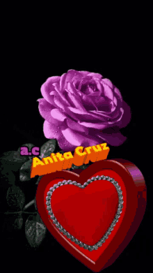 a purple rose sits next to a red heart with the name anita cruz written on it