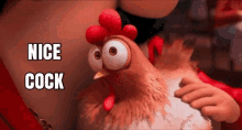 chicken cock