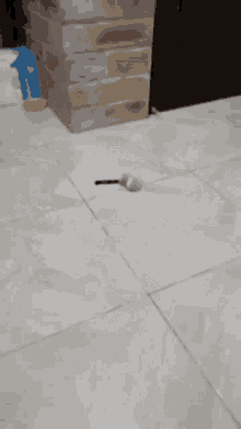 Knife Mouse GIF - Knife Mouse GIFs