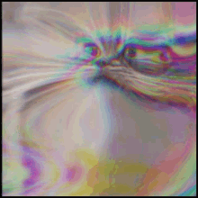 Realy Trippy Cat GIF - Realy Trippy Cat GIFs