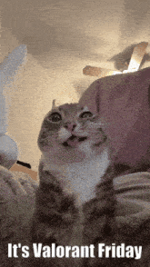 a cat with its tongue hanging out and the words it 's valorant friday below it