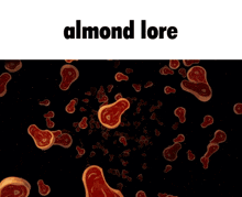 a cartoon of a lion surrounded by meat slices with the caption almond lore
