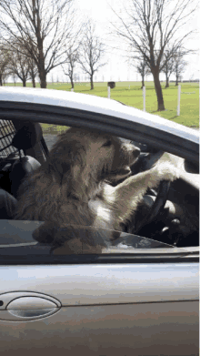 Kratu Driving GIF - Kratu Driving Road Trip GIFs